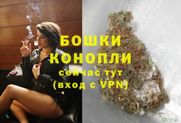 кокс Дмитров