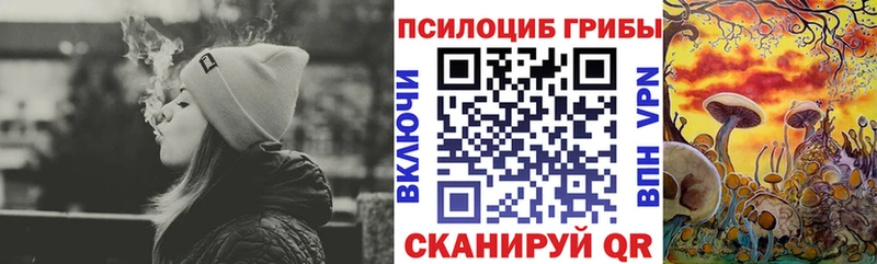 Галлюциногенные грибы GOLDEN TEACHER  Копейск 